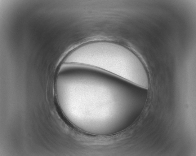 X0000082690011200701261006
