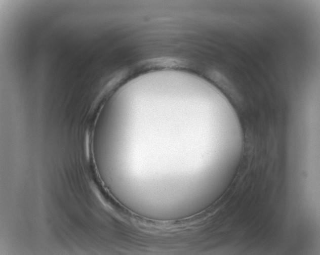 X0000082690014200701261006