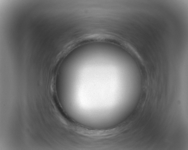 X0000082690023200701261006