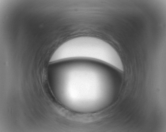 X0000082690029200701261006