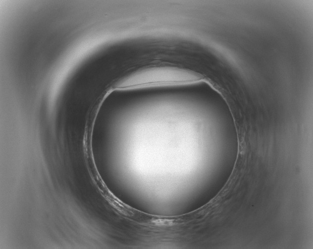 X0000082690052200701261005