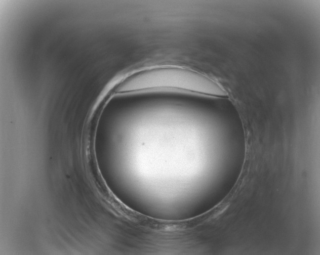 X0000082690056200701261005