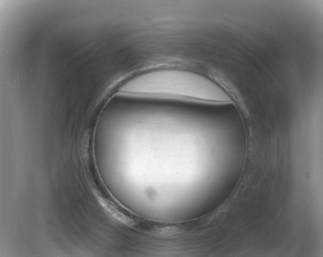 X0000082690058200701261005