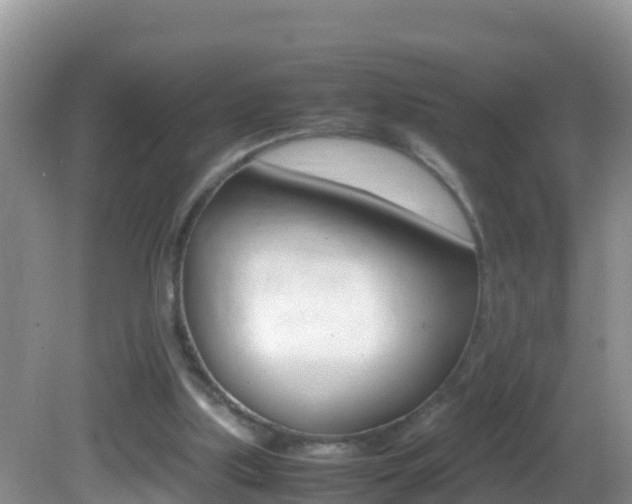X0000082690059200701261005
