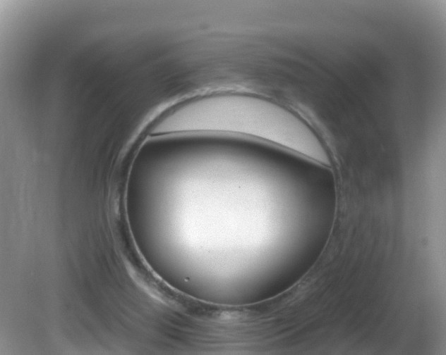 X0000082690060200701261005
