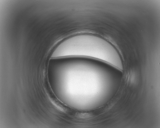 X0000082690063200701261005