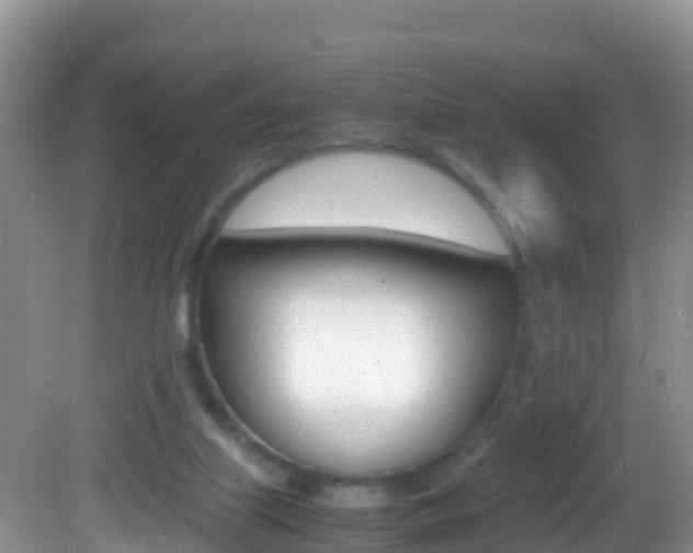 X0000082690067200701261005