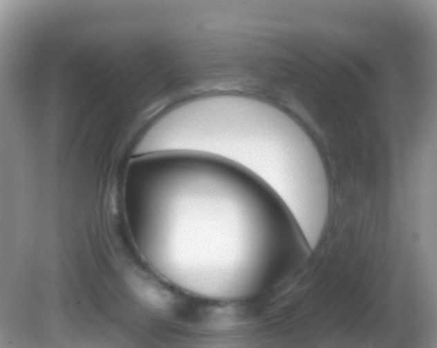 X0000082690068200701261005
