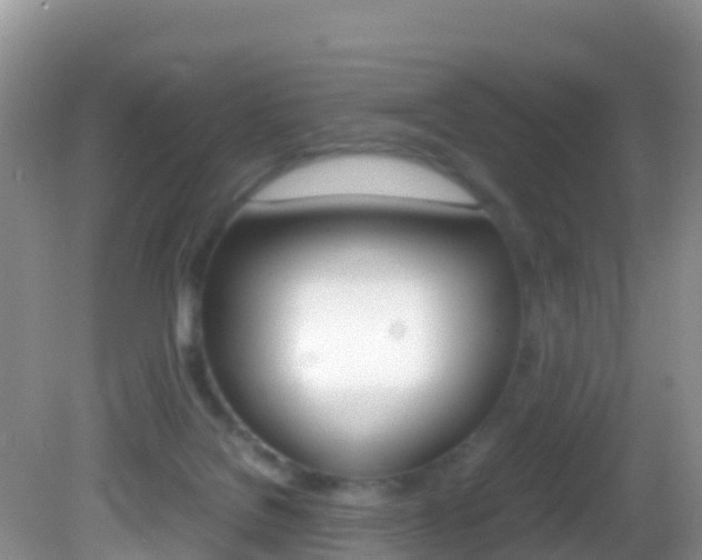 X0000082690076200701261005
