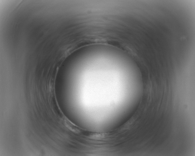 X0000082690084200701261005