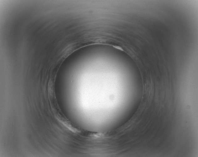 X0000082690092200701261006