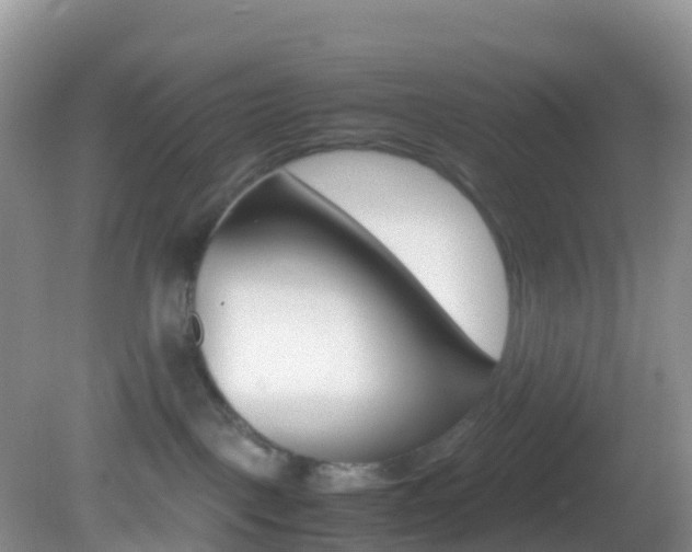 X0000082690093200701261006