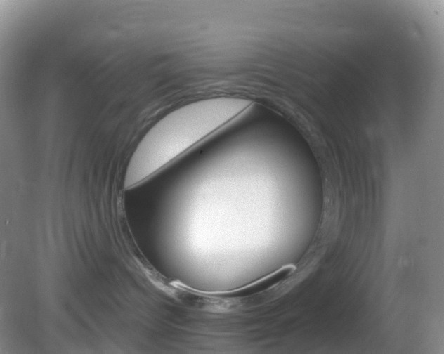 X0000082690096200701261006