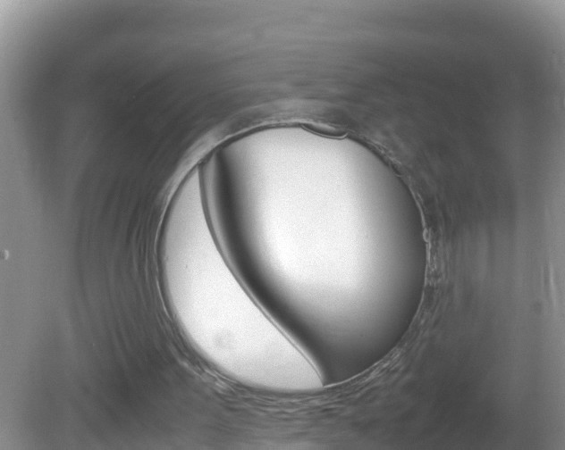 X0000082690099200701261005