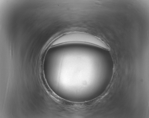 X0000082690101200701261005
