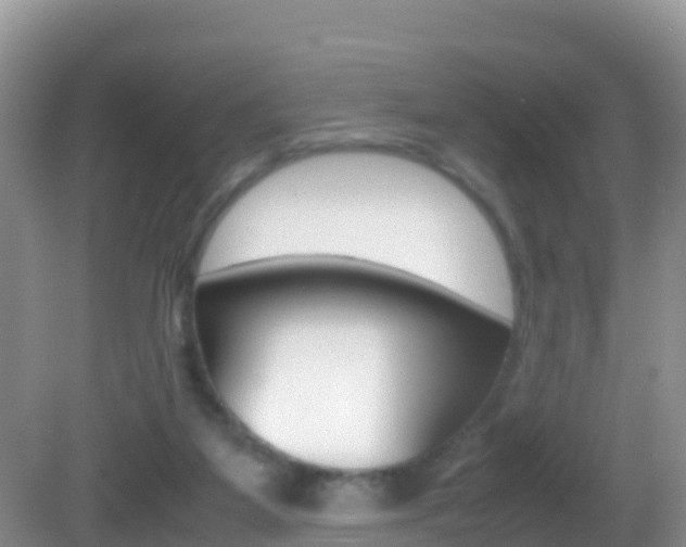 X0000082690115200701261005