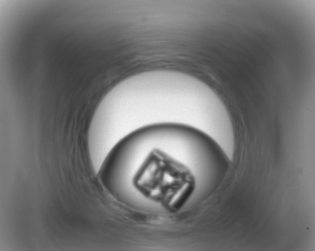 X0000082690125200701261004