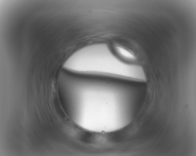 X0000082690127200701261004