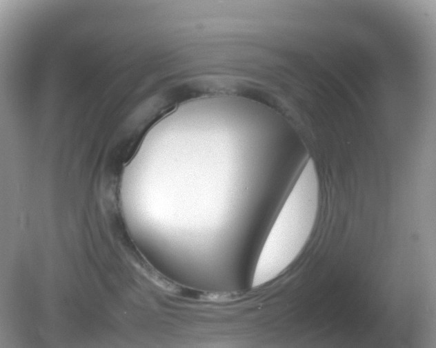 X0000082690141200701261004