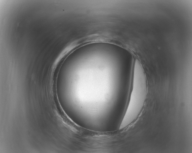 X0000082690150200701261003