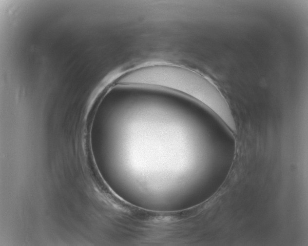 X0000082690152200701261003