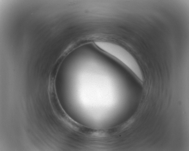 X0000082690168200701261004