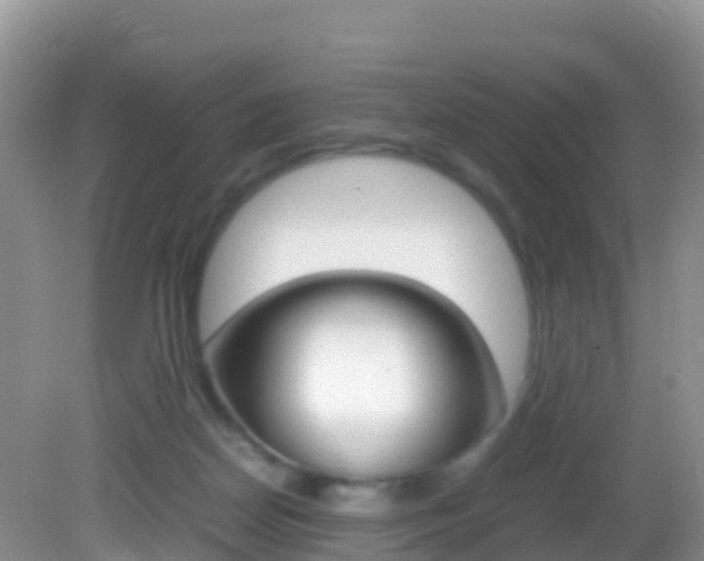 X0000082690170200701261004