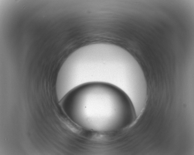 X0000082690174200701261004