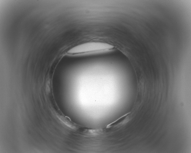 X0000082690188200701261004