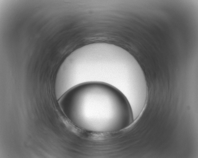 X0000082690190200701261004