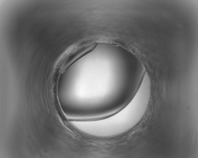 X0000082690197200701261003