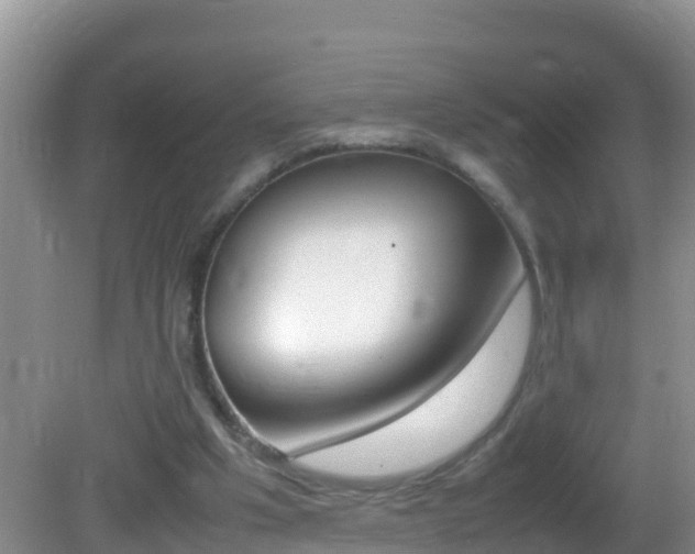 X0000082690201200701261003