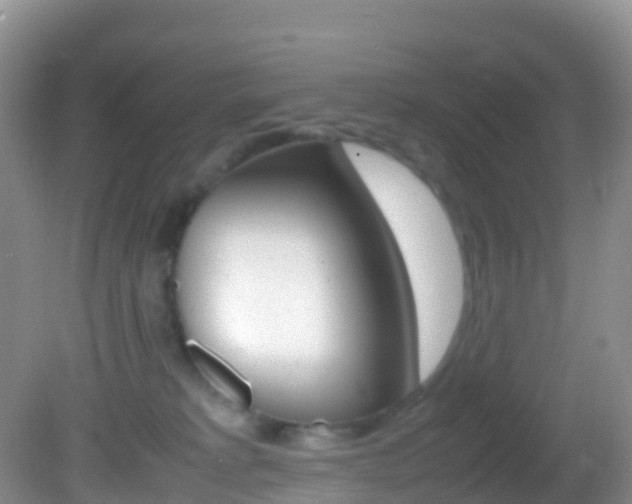 X0000082690229200701261003