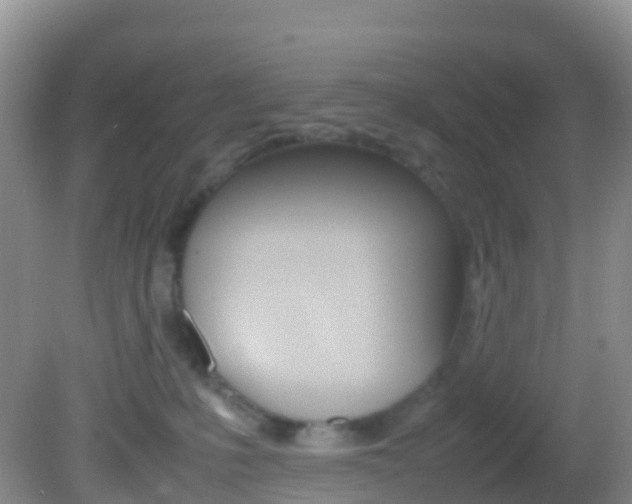 X0000082690231200701261003