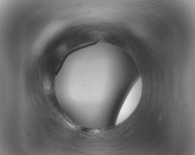 X0000082690239200701261002
