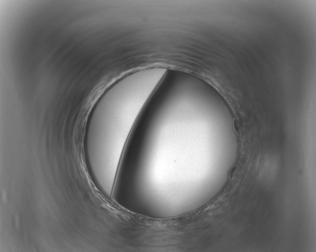X0000082690241200701261002