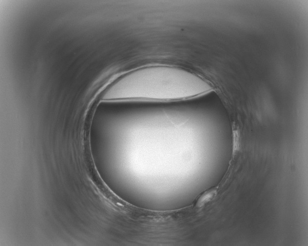 X0000082690243200701261002