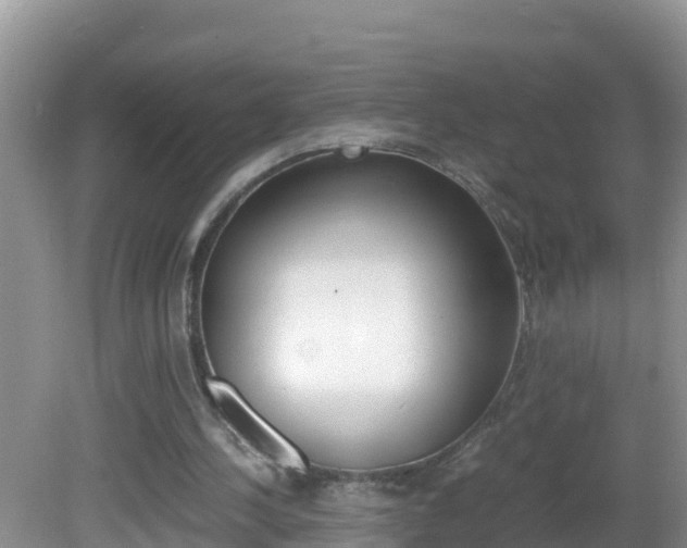 X0000082690244200701261002