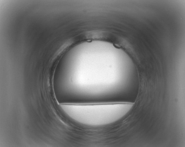 X0000082690251200701261002