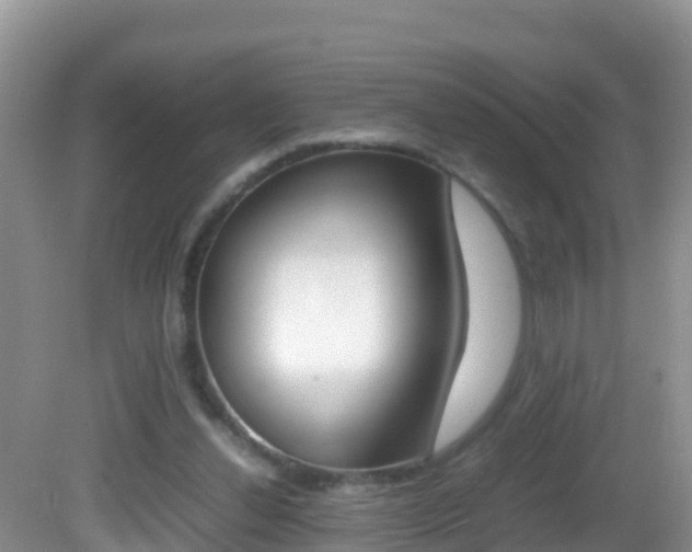 X0000082690252200701261002