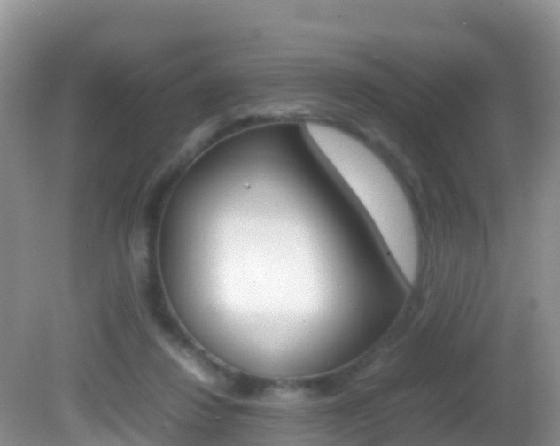 X0000082690260200701261002