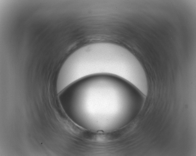 X0000082690264200701261002
