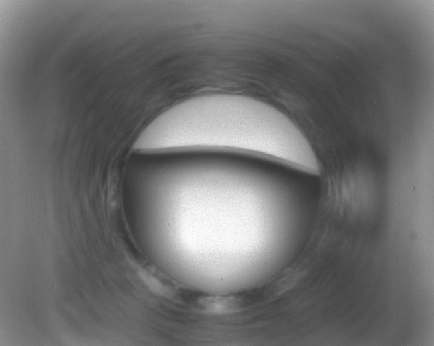 X0000082690273200701261002