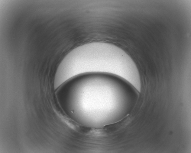 X0000082690280200701261002