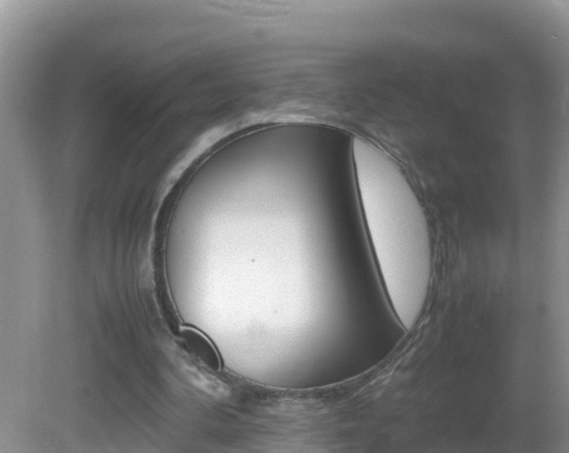 X0000082690292200701261002