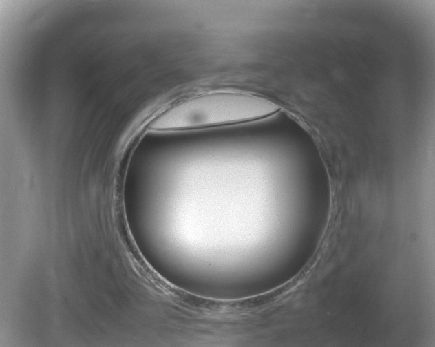 X0000082690293200701261002