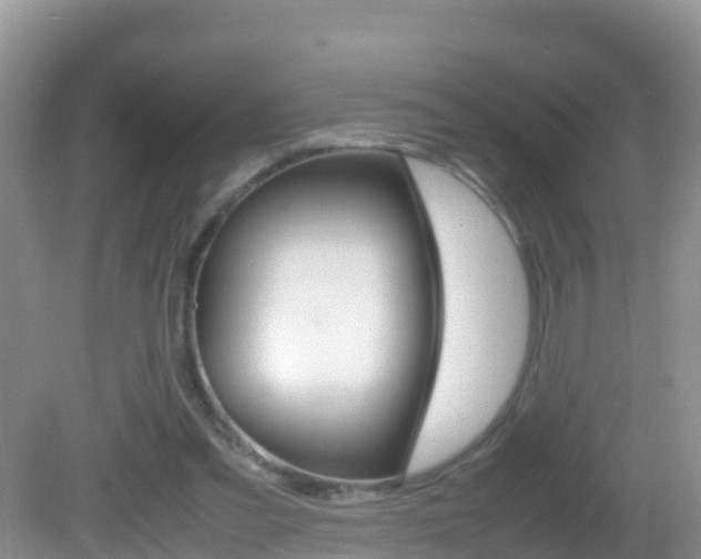 X0000082690301200701261001