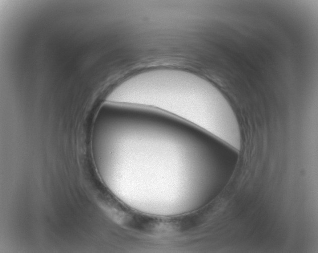 X0000082690303200701261001