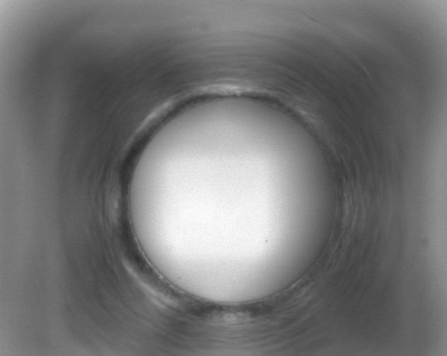 X0000082690304200701261001