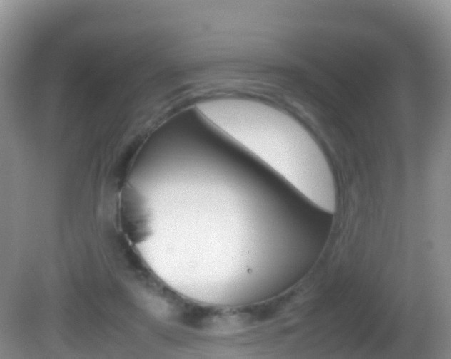 X0000082690307200701261001